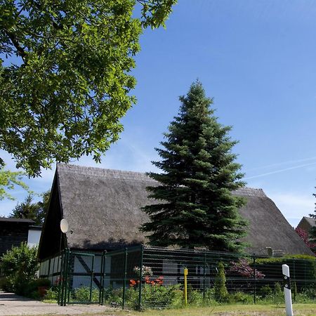 Welcoming Holiday Home In Gegensee Near Szczecin Lagoon Ahlbeck  Bagian luar foto